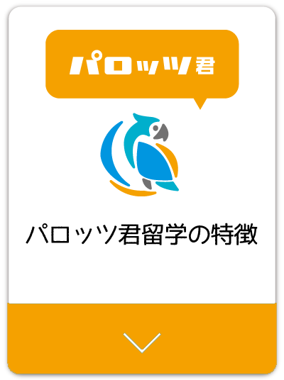 パロッツ君留学の魅力