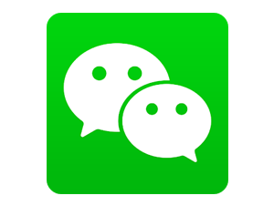 WeChat / Alipay